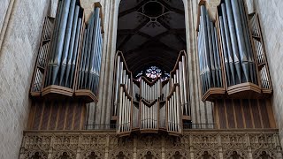 Ulmer Münster Impressionen und Orgelklang [upl. by Yblehs45]