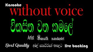 Vikasitha watha kamale  karaoke  Amal perera version [upl. by Retsbew455]