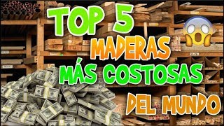 top 5 maderas mas caras del mundo [upl. by Riane450]