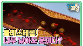 뇌졸중을 부르는 콜레스테롤 너무 낮아도 문제다 적당한 수치를 알아야 하는 이유 MBN 230613 방송 [upl. by Alletnahs809]