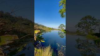 Have You Visited The Maleny Hinterland 😍 [upl. by Markowitz815]