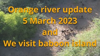 Orange river flood update 5 March 2023 water level dropping fast and a quick visit to baboon island [upl. by Corine18]