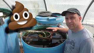 Aquaponics Solids poop Removal Tour and Maintenance [upl. by Lam982]