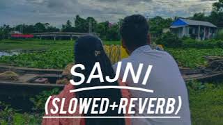 SAJNI  NEW Video❤️Lofi songSlowed Reverb💕 [upl. by Wende904]