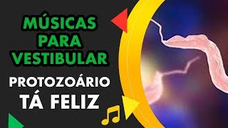 PROTOZOÁRIO TÁ FELIZ  MÚSICA PARA VESTIBULAR [upl. by Waldron463]