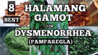 TOP 8 MEDICINAL PLANTS FOR DYSMENORRHEA  HALAMANG GAMOT PARA SA PROBLEMA SA REGLA  NATURER [upl. by Natanhoj]