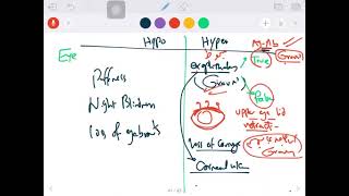 respiratory physiology respiratory center [upl. by Esorbma]