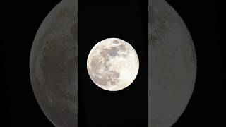 The Full Beaver Moon shorts space moon [upl. by Tenaej39]