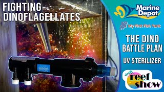 Winning the Battle Against Dinoflagellates How to Install a UV Sterilizer [upl. by Bitthia]