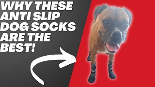 Review and Demo of Anti Slip Dog Socks [upl. by Sihonn]