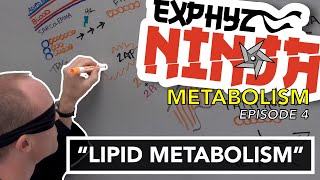 Metabolism Episode 4 quotLipid Metabolismquot [upl. by Karee]