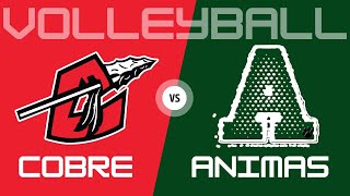 Volleyball  Cobre vs Animas VARSITY [upl. by Jeannette871]