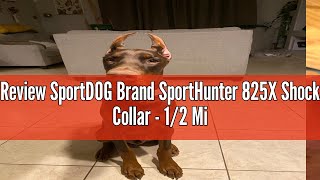 Review SportDOG Brand SportHunter 825X Shock Collar  12 Mile Range  Dog Training Collar with Shoc [upl. by Ameekahs304]