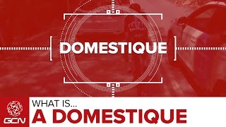 What Is A Domestique  Road Racing Explained [upl. by Olegnad]