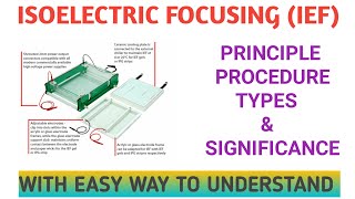 Isoelectric Focusing Principle procedure types and significance [upl. by Conrad686]