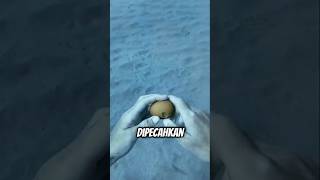 Penyelam ini Eksperimen memecahkan Telur di Dalam Laut shortvideo trending viralvideo [upl. by Culliton610]