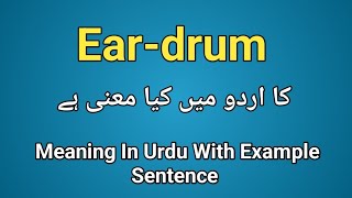 Eardrum meaning in urduhindi Eardrum k kia matlab hai Eardrum in sentence [upl. by Pentheam]