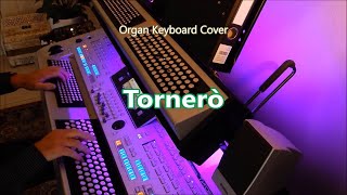 Tornerò  Organ amp keyboard cover chromatic [upl. by Knowles14]