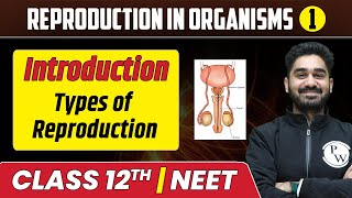 Reproduction in Organisms 01  Introduction  Life Span  Types of Reproduction  Class 12thNEET [upl. by Ainna]