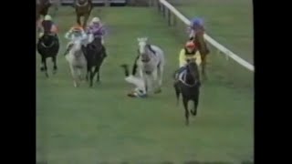 Horse Racing Accident Of Simon Mills [upl. by Lessard]