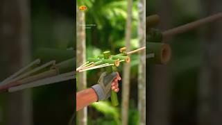 Bamboo shoot shorts youtubeshorts ytshorts [upl. by Pournaras]