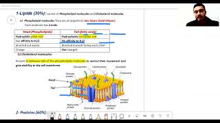 Cytology Histology revision Dr Hassan Abdalshafy علاج طبيعي [upl. by Chloe]