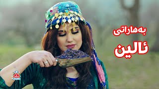 Alen Spices  بەهاراتی ئالین  By Sampro [upl. by Neliac]