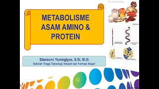 METABOLISME PROTEIN [upl. by Haywood]