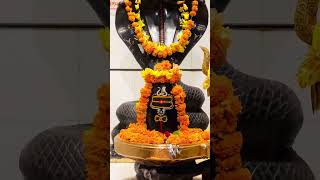 Shiv tandav nritya har har Mahadev [upl. by Micro]