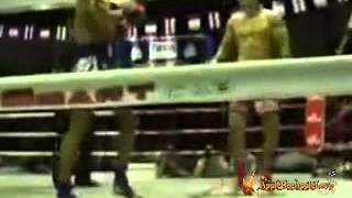 Saiyok Pumpanmuang Vs Farid Villaume [upl. by Llenor279]