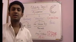 Lecture 3 Uveal Tract Part 1 [upl. by Hahsi254]