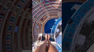 Woman Jumped 55ft on Huge Cruise Ship 🚢 Crazy Stunt 😱 [upl. by Urial]