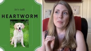 How Do Dogs Get Heartworms How To Prevent and Treat Heartworms Does MY Dog Have Heartworms [upl. by Esidarap]