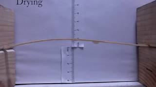 Selfswitching bistable mechanism [upl. by Mallorie]