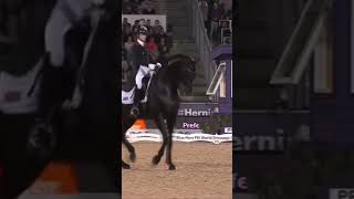 I ran out of titlesD horse equestrianshow equestrian dressage edit fypシ゚viral [upl. by Allveta]