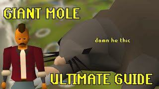 OSRS Giant Mole Ultimate Quick Guide for Noobs Pet hunters and MORE [upl. by Ezaria503]