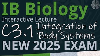 NEW 2025 EXAM  IB Biology C31  Integration of Body Systems SLHL  Interactive Lecture [upl. by Ahsemal]