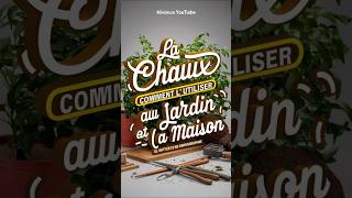 La Chaux  Comment lUtiliser au Jardin et à la Maison 🌿🏠  Astuces amp Conseils Pratiques shorts [upl. by Nivi]