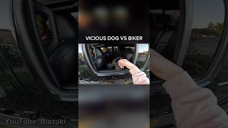 VICIOUS DOG VS BIKER cbr1000rr bikelife motovlog dog motorcycle biker funnymoments [upl. by Nywrad695]