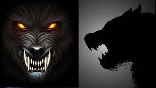 Types of Werewolves [upl. by Eeliab]