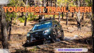 Toughest trail ever Lets take the Subaru Forester offroad and see what it can do [upl. by Nylirehc]