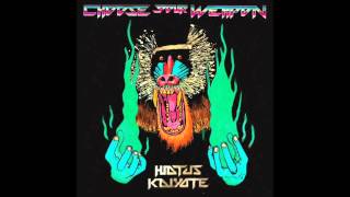 Hiatus Kaiyote  09 Fingerprints [upl. by Jago]