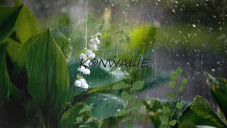 UNKNOWN  KONWALIE prod Wolet [upl. by Fiedling420]