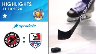 11102024  Highlights  EHF Passau Black Hawks vs Heilbronner Falken [upl. by Galliett]