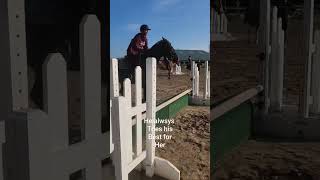 what are you working on with your horse right now horsejumping [upl. by Anhpad997]