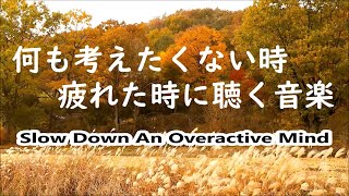 何も考えたくない時、疲れた時に聴く音楽  すーっと余計な力が抜けていく 癒しの音楽 落ち着く音楽 疲れた心と体を癒すための音楽 リラックス音楽 α波 睡眠用bgm ストレス解消音楽 [upl. by Lalaj700]