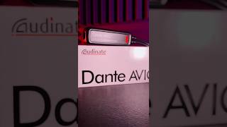 Dante AVIO  New Gear Day🔥Media Audio XLR Dante IO [upl. by Alysia]