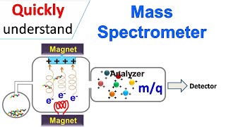 Mass spectrometry [upl. by Naara]