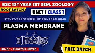 Plasma Membrane BSc 1st year 1st semester unit 1 in Hindi amp English 🔥💯 root batch by sciencewaali [upl. by Ladnyc]