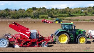 GRIMME gb430 POTATO planting 2024 Spillanes [upl. by Hewett]